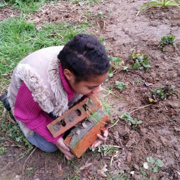 berrygarden3